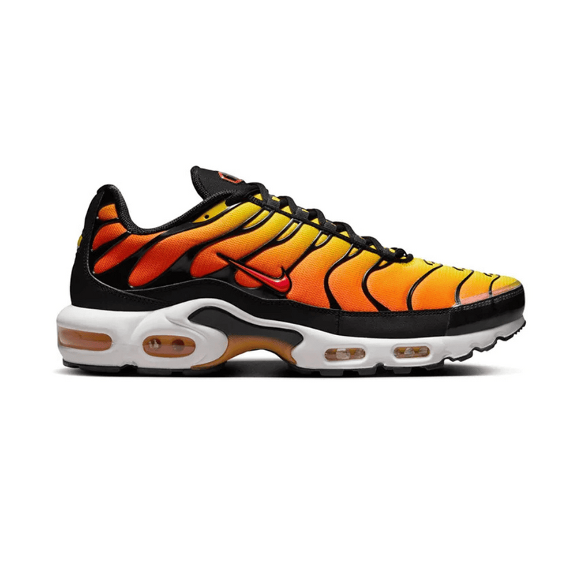 Air Max TN Plus Sunset
