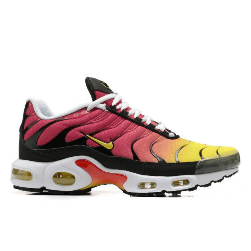 Air Max TN Plus Raibow
