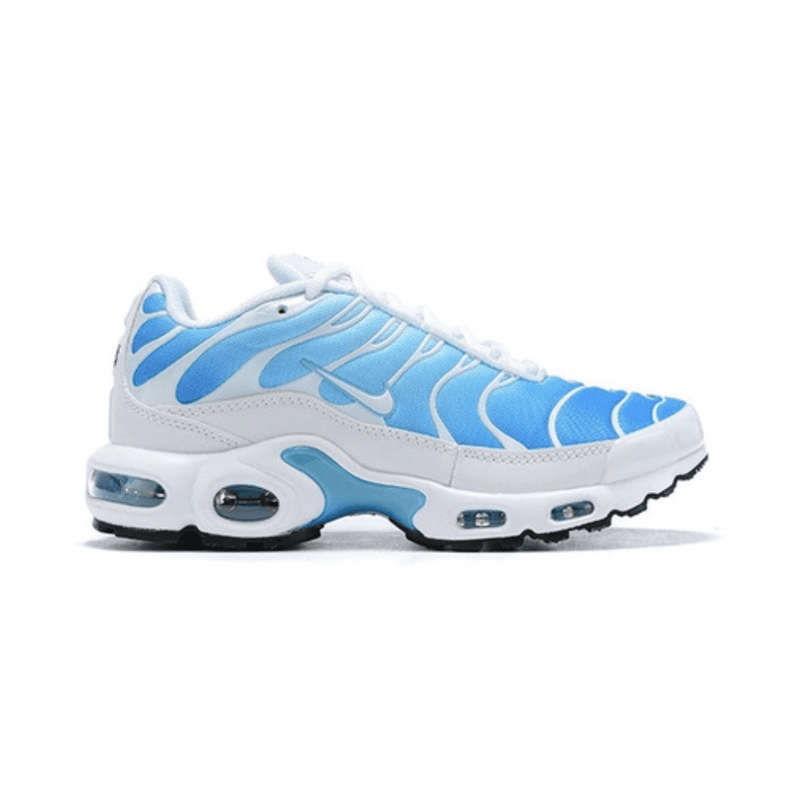 Air Max TN Plus Battle Blue